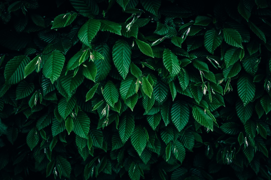 Mindfulness Techniques for Busy People