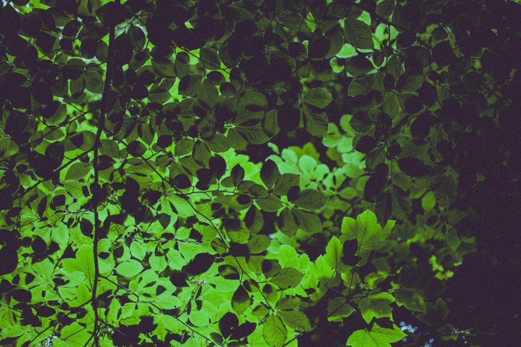 When Stress Shows Up: How to Show Up for Yourself